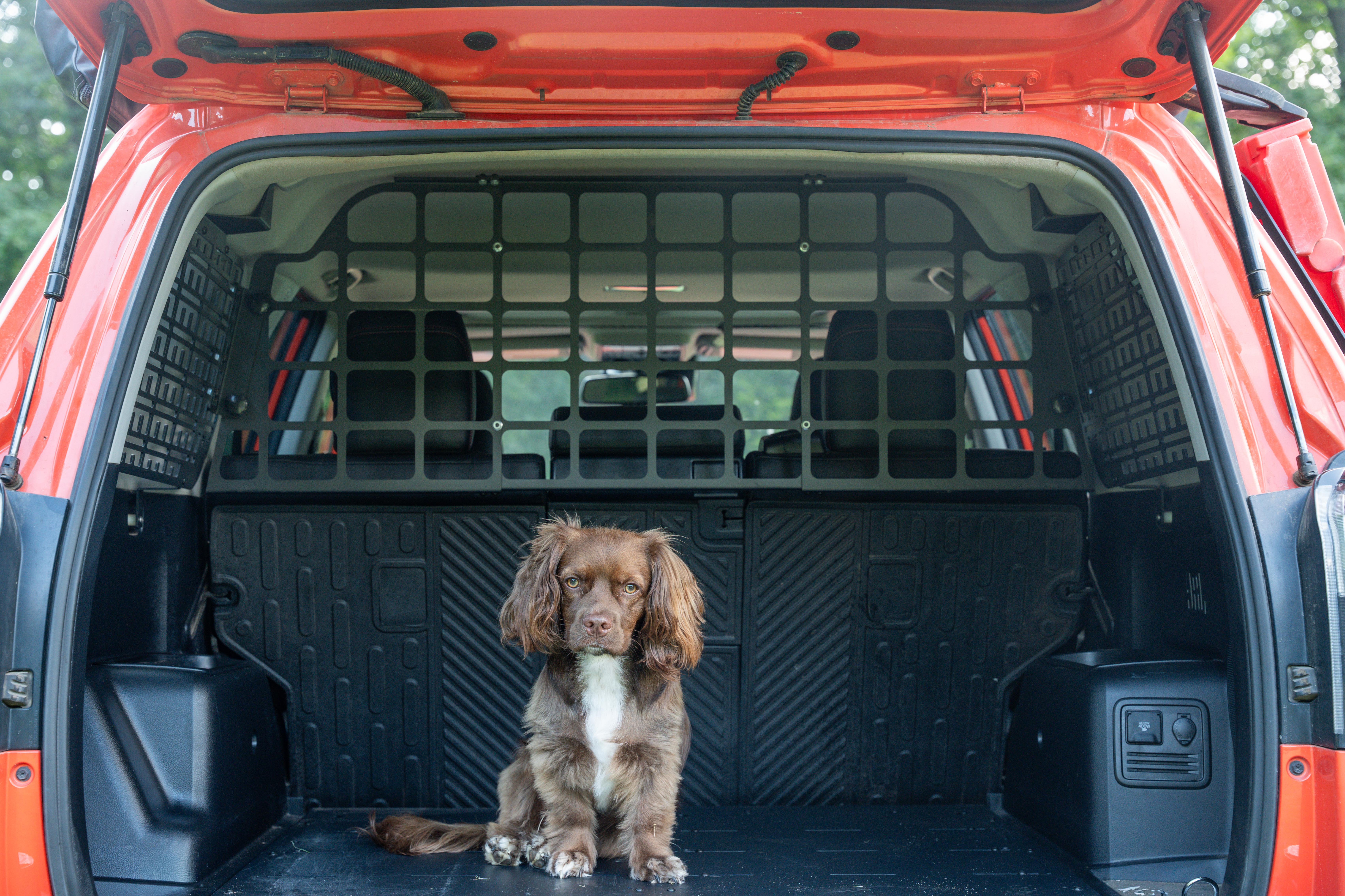 4Runner Pet Divider | 5th Gen (2010-2024) (Requires Rear Window MOLLE Panels to mount)