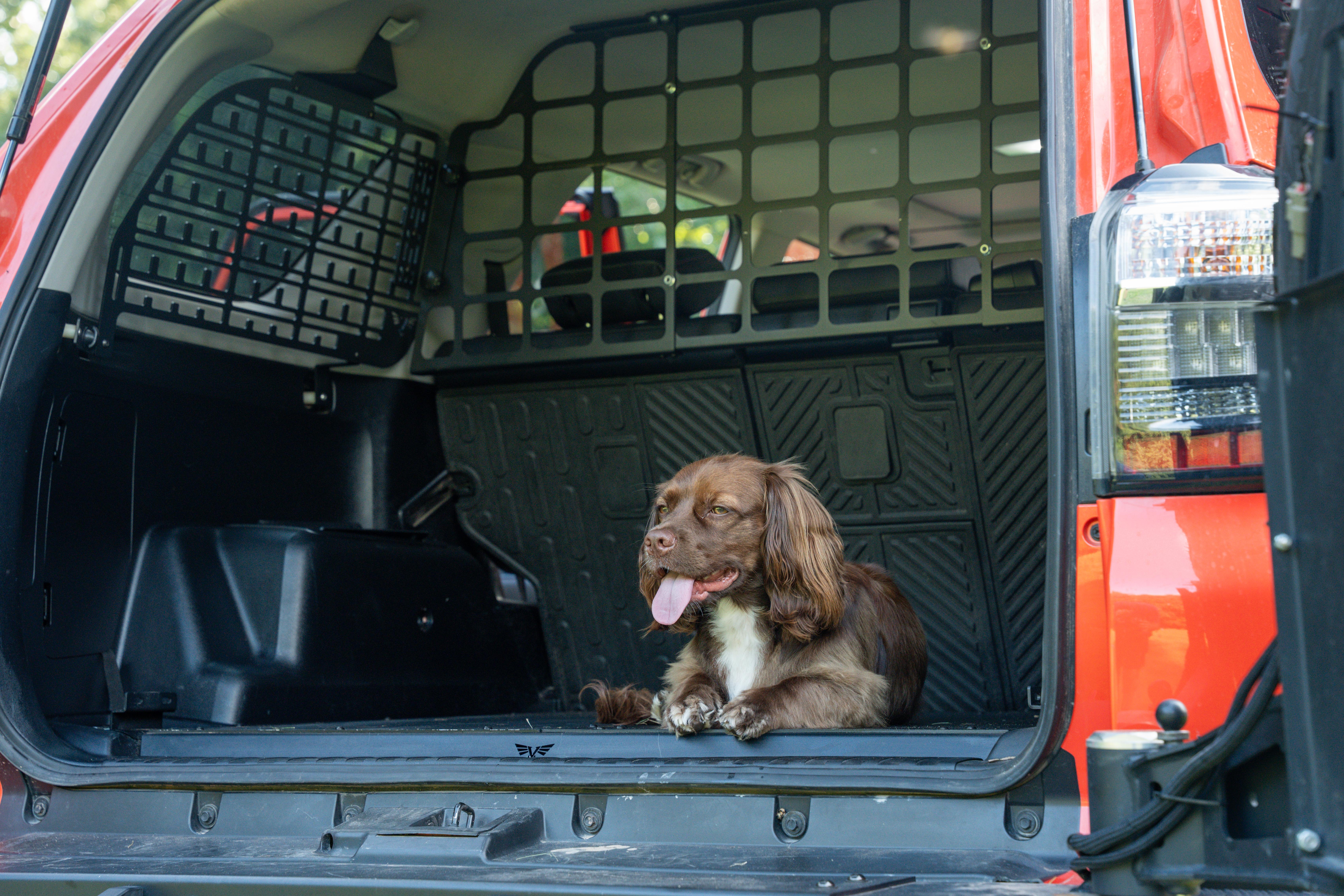 4Runner Pet Divider | 5th Gen (2010-2024) (Requires Rear Window MOLLE Panels to mount)
